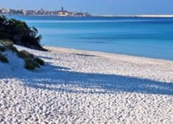 Daire Derudas's House